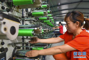 河北景縣 研發(fā)環(huán)保應(yīng)用橡塑產(chǎn)品 助力企業(yè)轉(zhuǎn)型升級