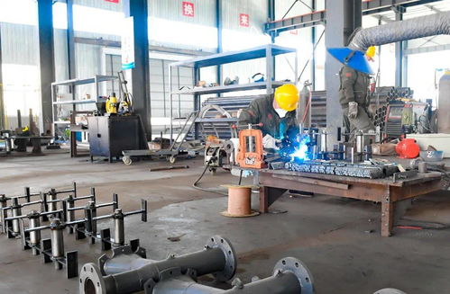 全力推進項目建設 邯鄲重點項目觀摩團來新區現場觀摩